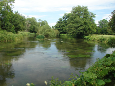 River Itchen